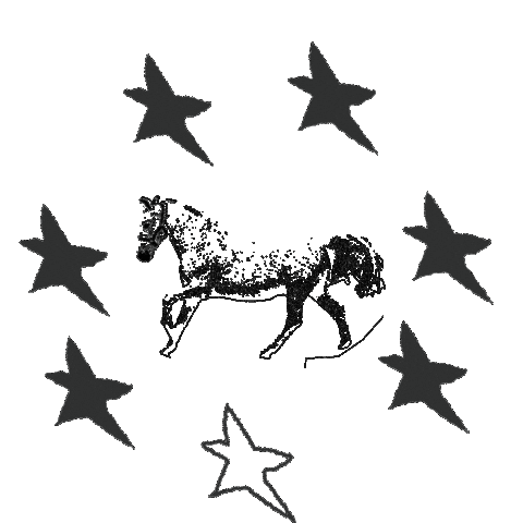 Sticker by Vundabar