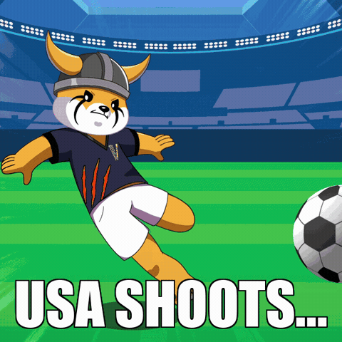 World Cup Football GIF by FLOKI