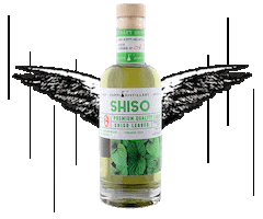 Glass Bartender Sticker by Dennis Zoppi