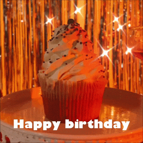 Happy Birthday Party GIF by zoommer