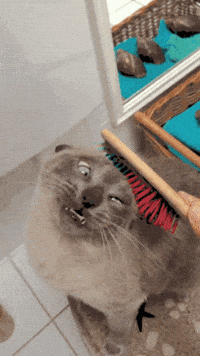 Rotary-cutter GIFs - Get the best GIF on GIPHY