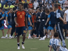 Fifa World Cup GIF