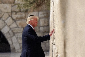 Usa Wall GIF