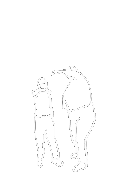 Fantome Sticker
