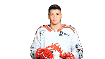 Koch Trinec Sticker by HC Oceláři Třinec