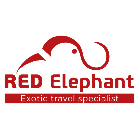 Diontours & Red Elephant Sticker