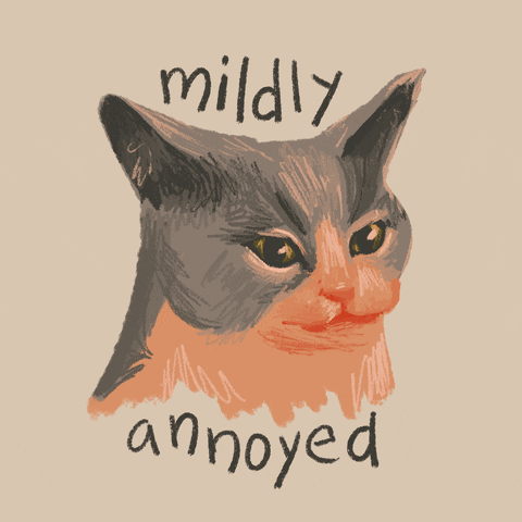 Cat Annoy GIF