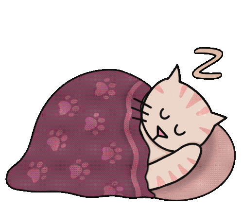 tired cat