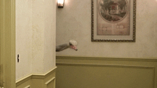 arrested development