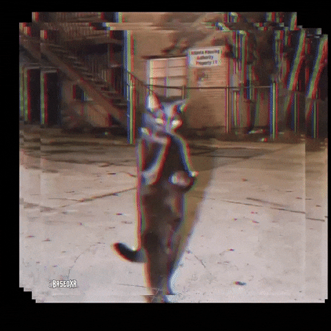 Cat Ai GIF