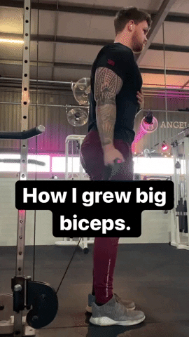 giphy.gif