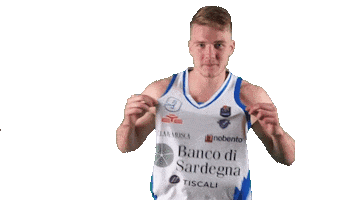 Basketball Sticker by Dinamo Sassari