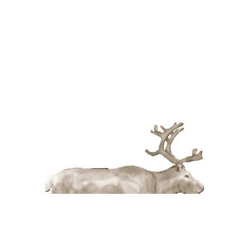 Deer Sticker