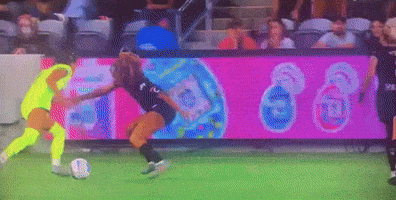 Washington Spirit GIF