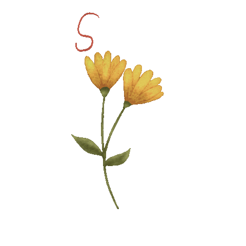 Flower Spring Sticker