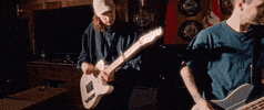 Slip Purenoise GIF by Pure Noise Records