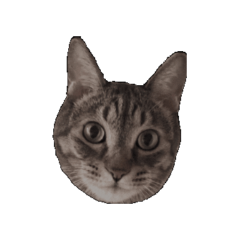 Kycalone Sticker
