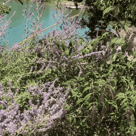 xavimill GIF