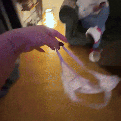 Scratch Adventure GIF