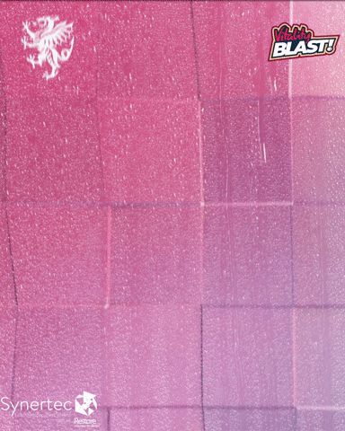 GIF by Somerset County Cricket Club