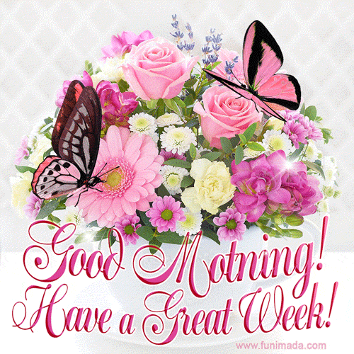 Bast Friend Good Morning GIF
