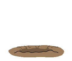 New Year Pink Sticker