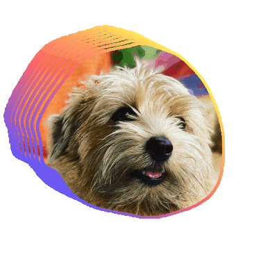 Animated Sticker