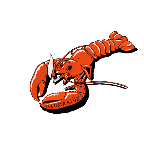 Illustration Sticker