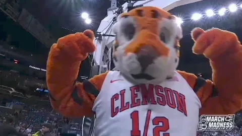 Clemson Tigers Sport GIF