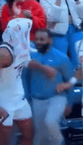 giphy.gif