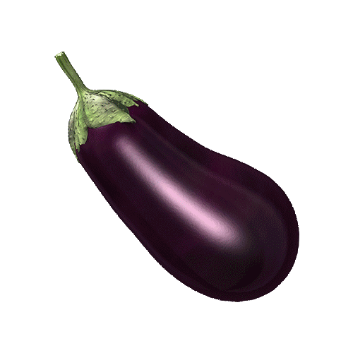 eggplant