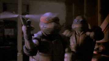 Teenage Mutant Ninja Turtles 1990S GIF