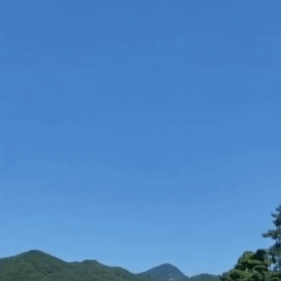 Bungee Jump GIF by Storyful