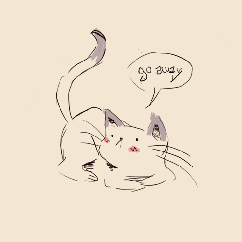 Cant Draw Every Cat Gifs Get The Best Gif On Giphy