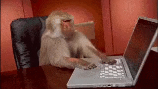 Coding GIF