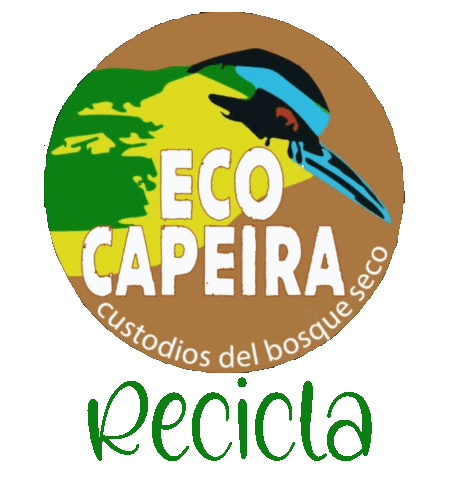 Capeira Sticker