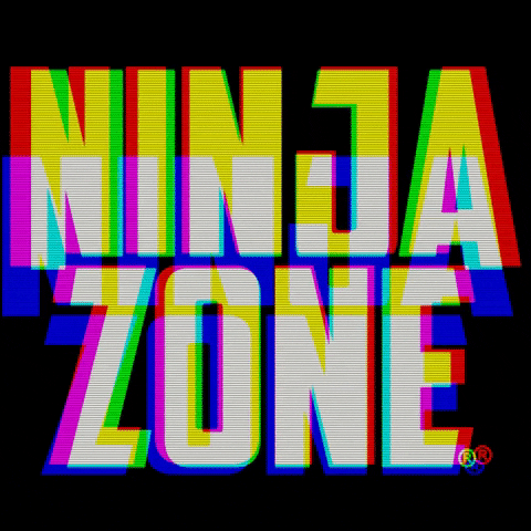 NinjaZone ninja ninjazone GIF