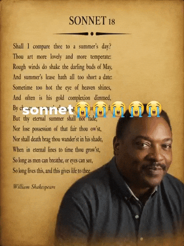 Son Sonnet GIF