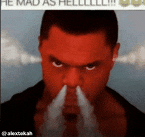 Mad As Hell Brochacho GIF