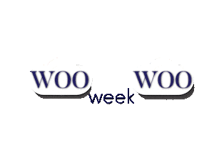 Woo Woo Rainbow Sticker by The Gypsy Mumma