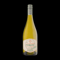 Wine Vino GIF by Errazuriz Wines