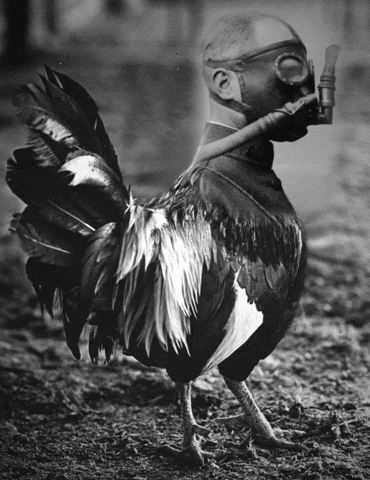 Black And White Art GIF