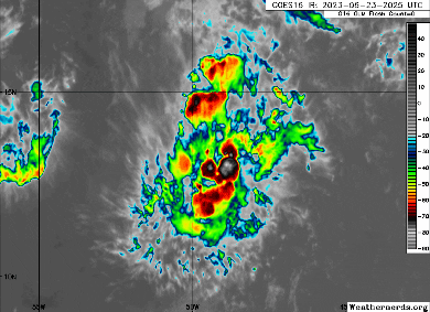 giphy.gif?cid=6c09b95279xfr2lg696rj65tdh