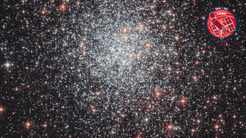Deep Space Stars GIF by ESA/Hubble Space Telescope