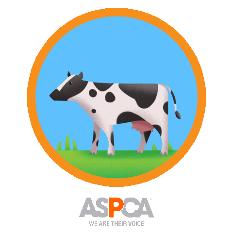 Dairy Cow Sticker by ASPCA