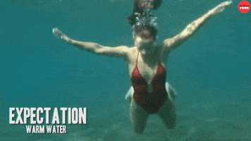 Spring Break Beach GIF by BuzzFeed