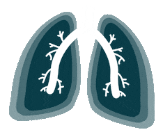 fgn-fortbildungen Sticker