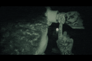 Anybody Lil Mosey GIF by Cinq Music