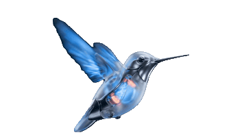 Videira Digital Sticker