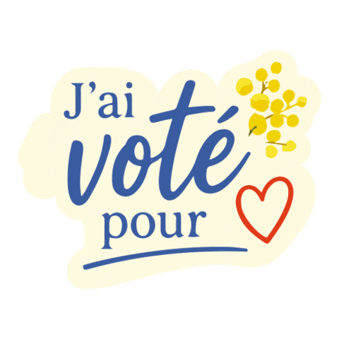Vote Jai Voté Sticker by bormesmaville
